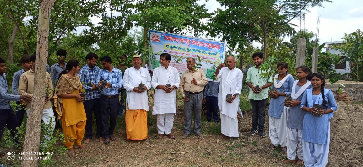 Plantation drive