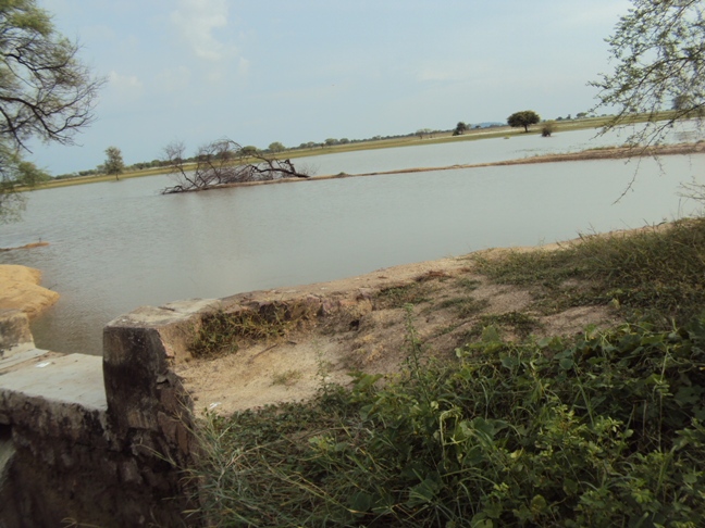 Pond