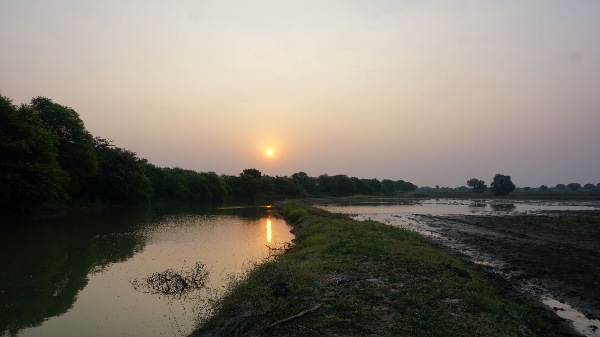 Sunrise