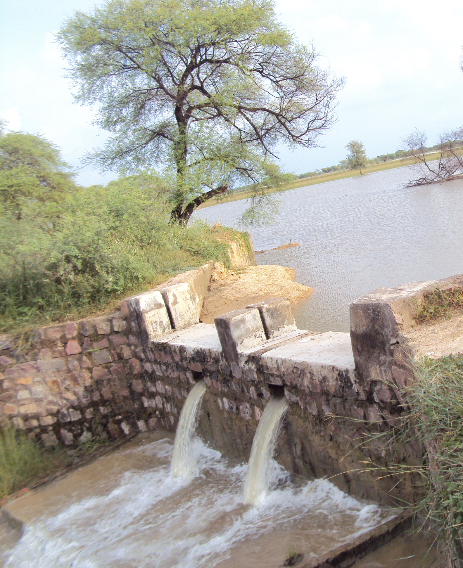 Small Check Dam